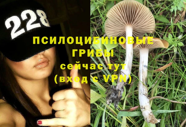 ПСИЛОЦИБИНОВЫЕ ГРИБЫ Алзамай