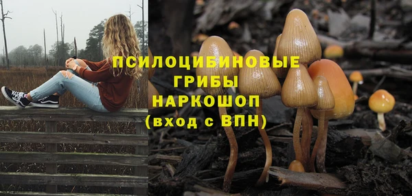 ПСИЛОЦИБИНОВЫЕ ГРИБЫ Алзамай