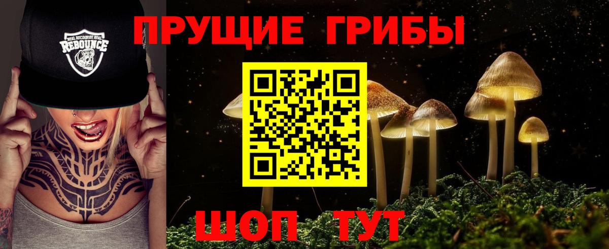 Псилоцибиновые грибы мухоморы  где купить наркоту  Каменка  Галлюциногенные грибы ЛСД  Вход с VPN 